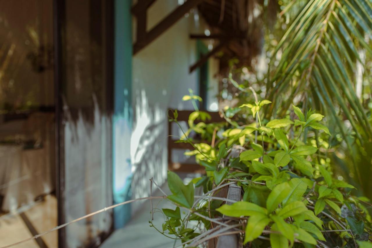 Hotel Villas Tiburon Isla Holbox Ngoại thất bức ảnh