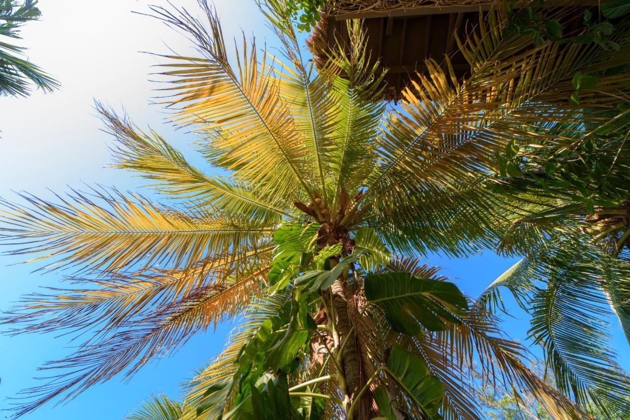 Hotel Villas Tiburon Isla Holbox Ngoại thất bức ảnh