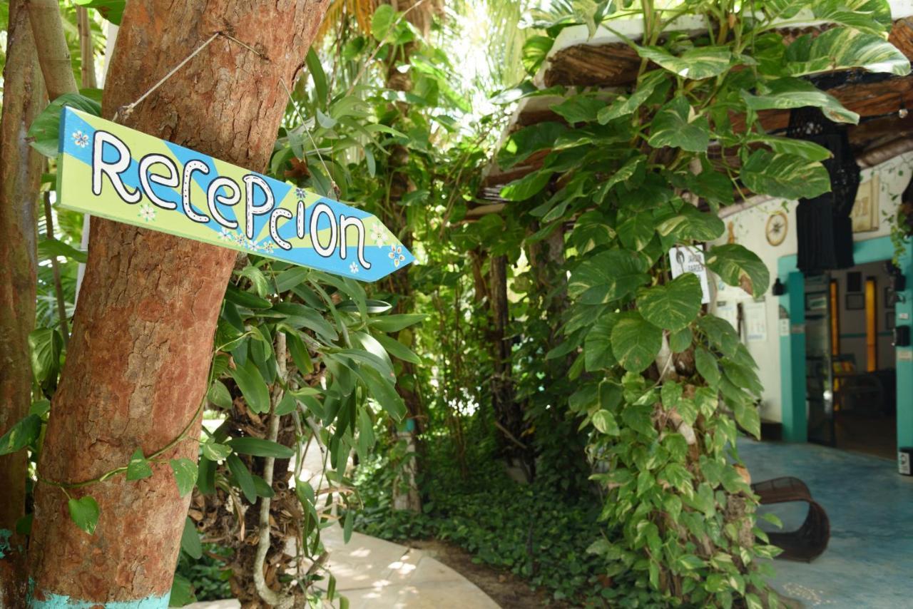 Hotel Villas Tiburon Isla Holbox Ngoại thất bức ảnh